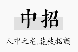 中招名字的寓意及含义