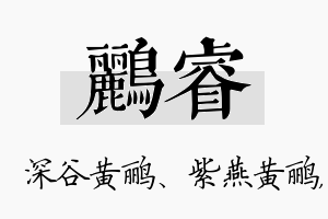 鹂睿名字的寓意及含义