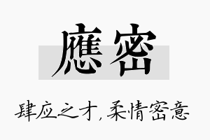 应密名字的寓意及含义