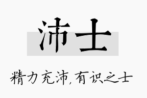 沛士名字的寓意及含义