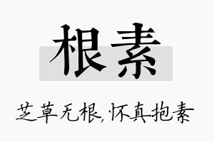 根素名字的寓意及含义