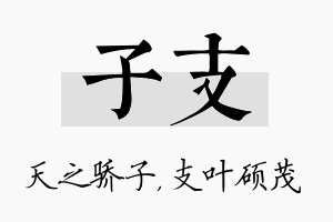 子支名字的寓意及含义