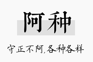 阿种名字的寓意及含义