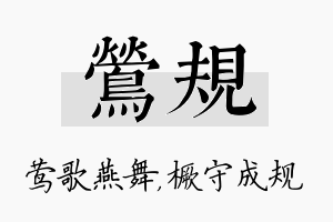 莺规名字的寓意及含义