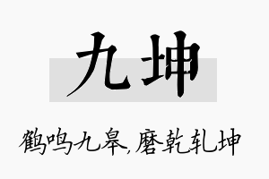 九坤名字的寓意及含义