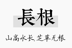 长根名字的寓意及含义