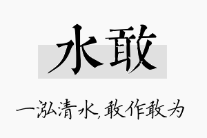 水敢名字的寓意及含义