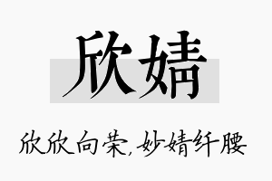 欣婧名字的寓意及含义