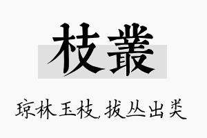 枝丛名字的寓意及含义