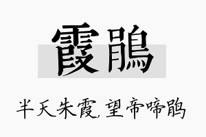 霞鹃名字的寓意及含义