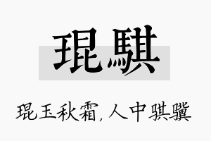 琨骐名字的寓意及含义