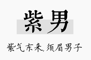 紫男名字的寓意及含义