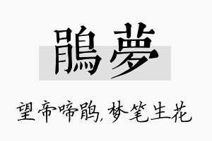 鹃梦名字的寓意及含义