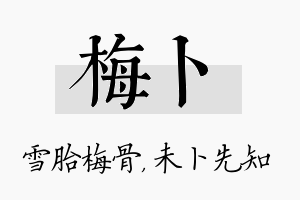 梅卜名字的寓意及含义