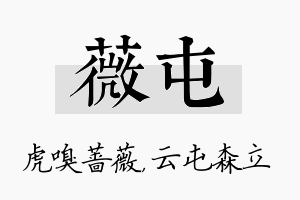 薇屯名字的寓意及含义