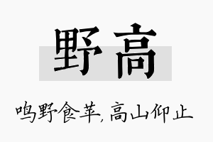 野高名字的寓意及含义