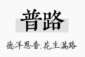 普路名字的寓意及含义