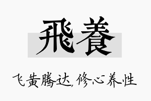 飞养名字的寓意及含义