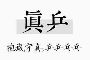 真乒名字的寓意及含义