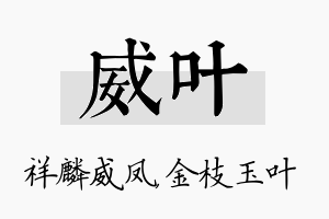 威叶名字的寓意及含义