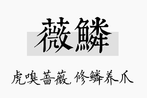 薇鳞名字的寓意及含义