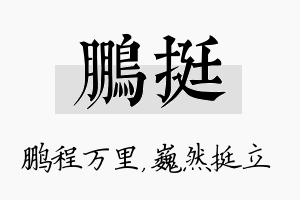 鹏挺名字的寓意及含义