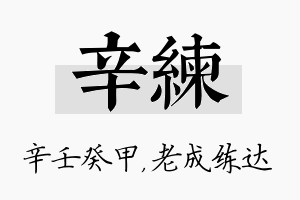 辛练名字的寓意及含义