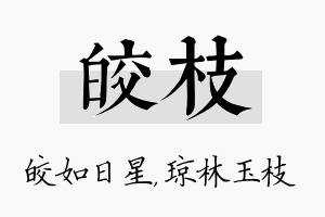 皎枝名字的寓意及含义