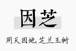 因芝名字的寓意及含义