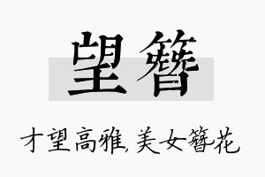 望簪名字的寓意及含义