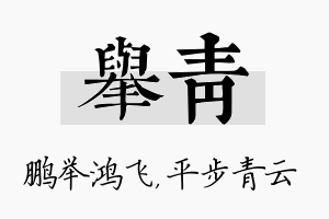 举青名字的寓意及含义