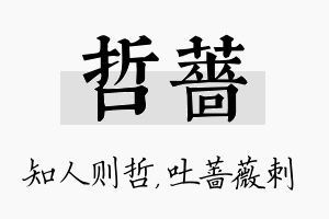 哲蔷名字的寓意及含义