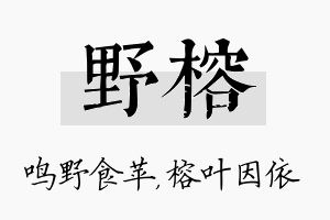 野榕名字的寓意及含义