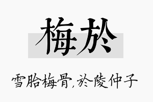 梅於名字的寓意及含义