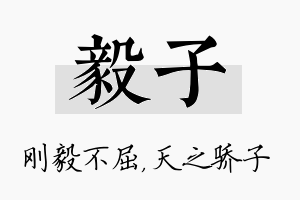 毅子名字的寓意及含义