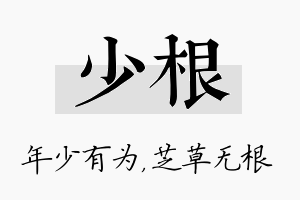 少根名字的寓意及含义