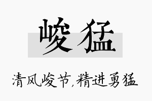 峻猛名字的寓意及含义