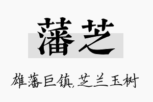 藩芝名字的寓意及含义