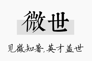 微世名字的寓意及含义