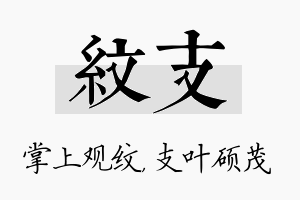 纹支名字的寓意及含义