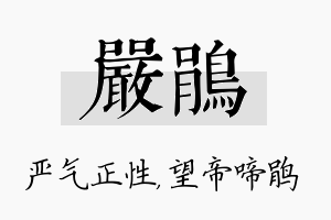 严鹃名字的寓意及含义