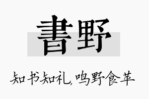 书野名字的寓意及含义