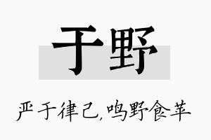 于野名字的寓意及含义