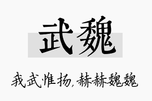 武魏名字的寓意及含义