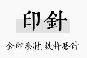 印针名字的寓意及含义