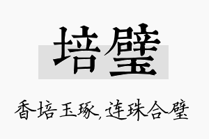 培璧名字的寓意及含义