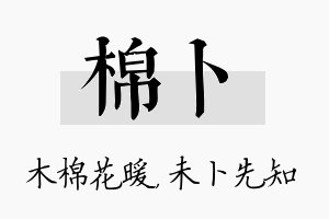 棉卜名字的寓意及含义