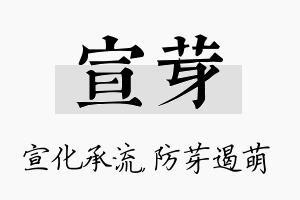 宣芽名字的寓意及含义