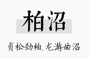 柏沼名字的寓意及含义