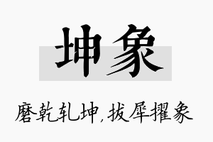 坤象名字的寓意及含义